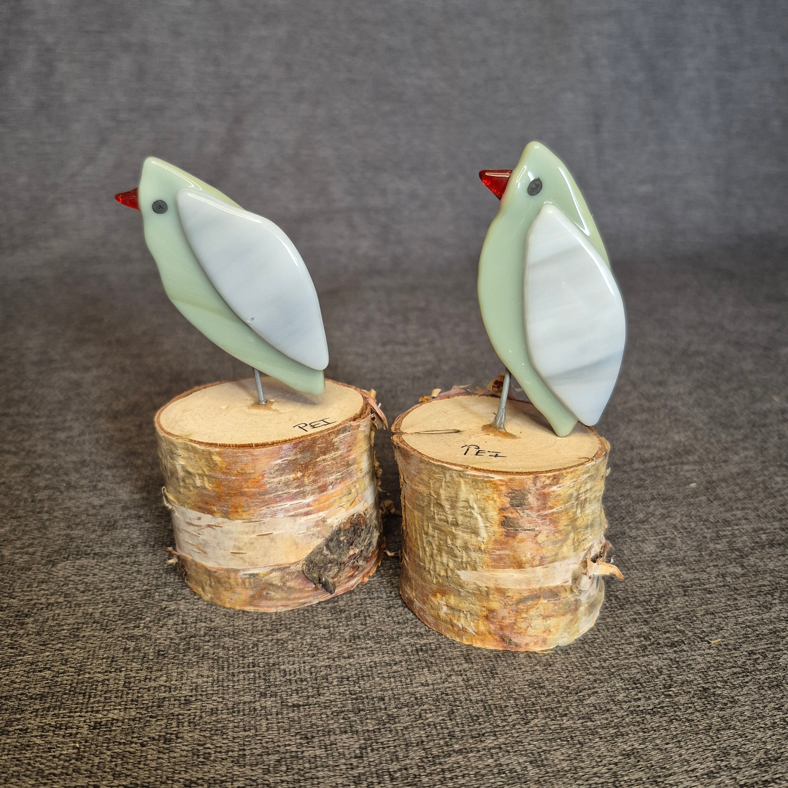 Seagull - Fused Glass