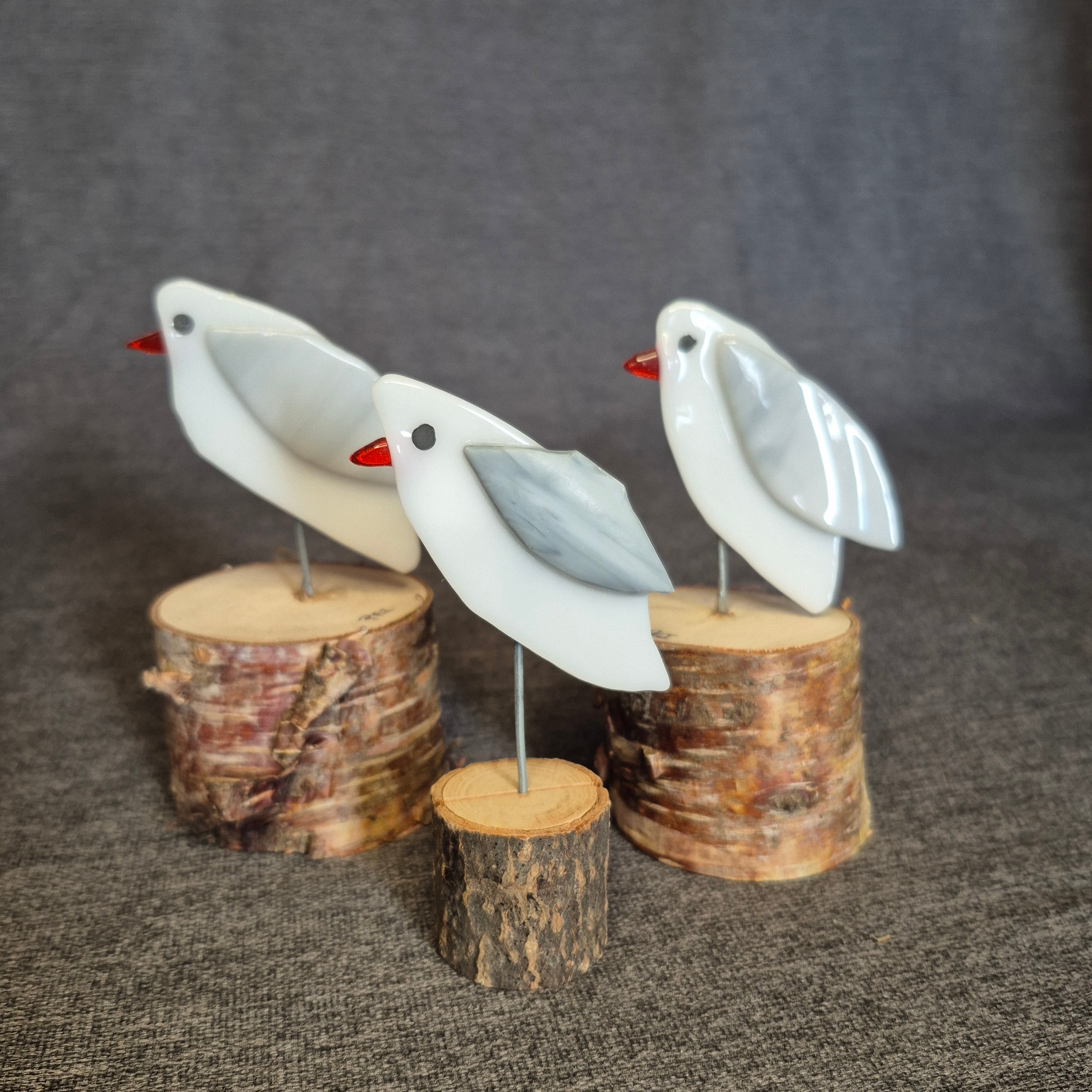 Seagull - Fused Glass