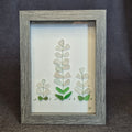 Sea Glass Artwork - Lupins