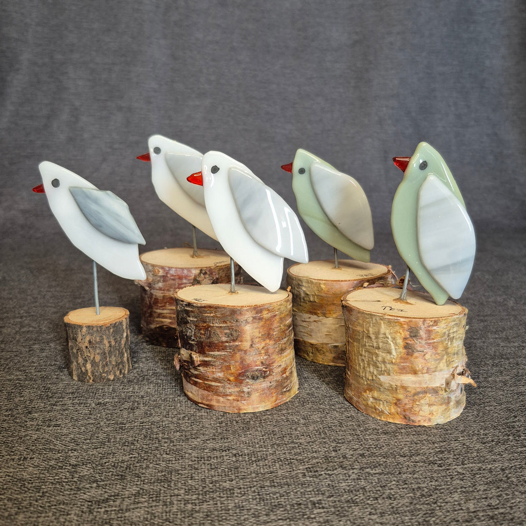 Seagull - Fused Glass