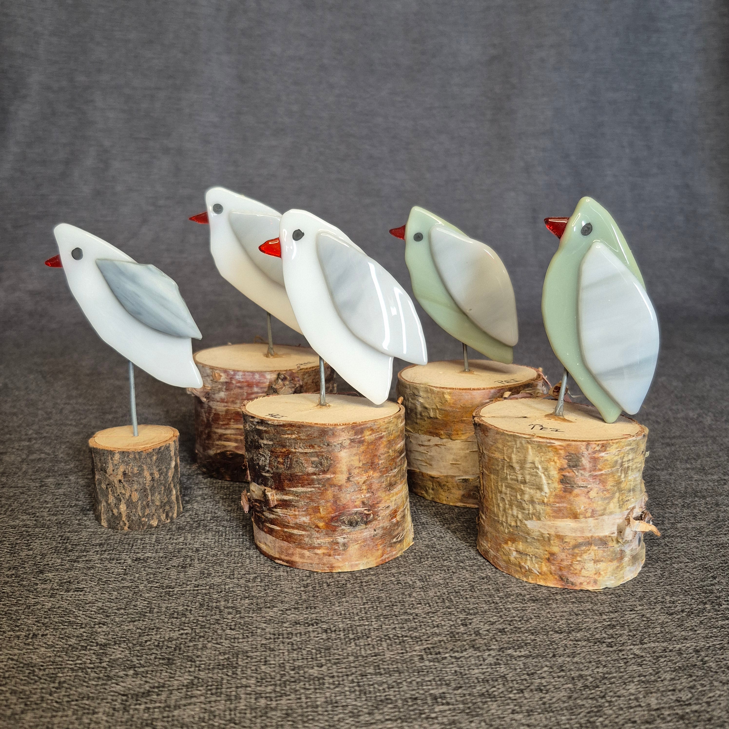 Seagull - Fused Glass